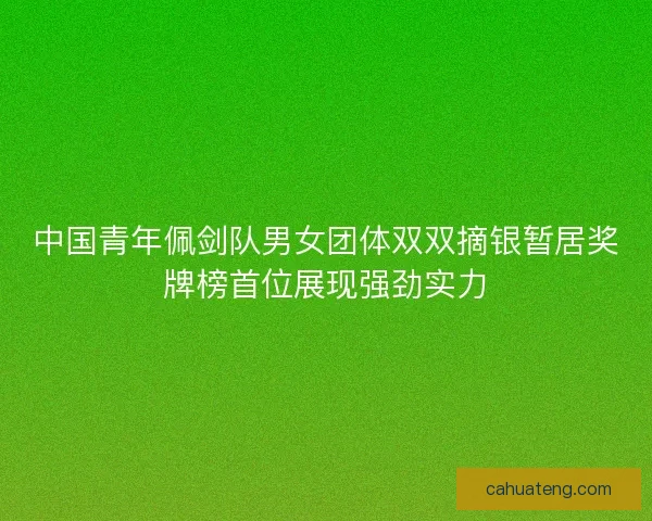 中国青年佩剑队男女团体双双摘银暂居奖牌榜首位展现强劲实力