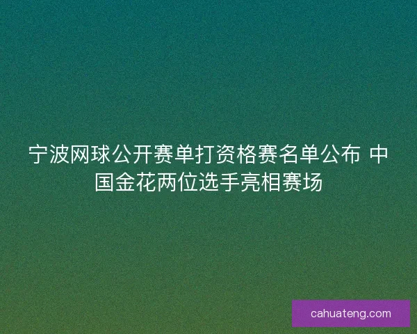 宁波网球公开赛单打资格赛名单公布 中国金花两位选手亮相赛场